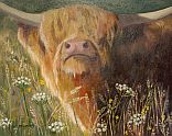 scottish wildlife paintings